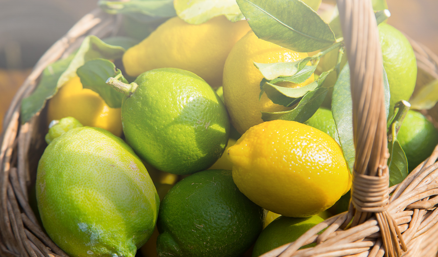 かごに入ったレモン